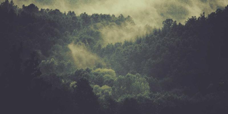 东莞南城优质教育资源全解析：名校分布与学区房置业指南