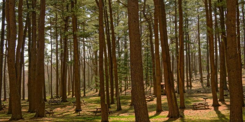 东莞南城智慧城市全景透视:数字化管理如何重塑“南城生活”新体验