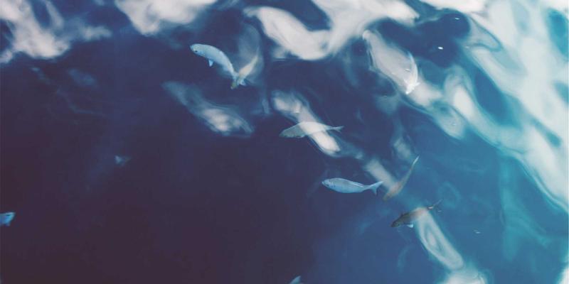 东莞南城现代服务业集聚区:人才磁极与社区活力如何重塑就业新生态?