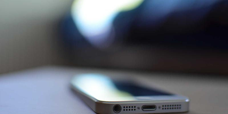 东莞南城生活指南:在社区论坛中发现邻里温度与城市脉动