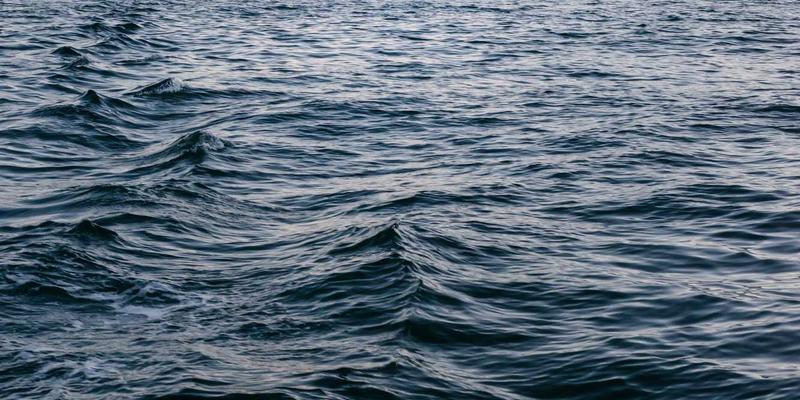 从桑基鱼塘到CBD:东莞南城社区的美食记忆与城市进化史