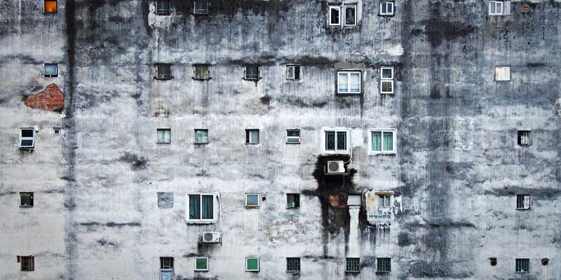 从田间到餐桌:南城周末农场、市集与CSA全攻略,开启你的本土美食溯源之旅