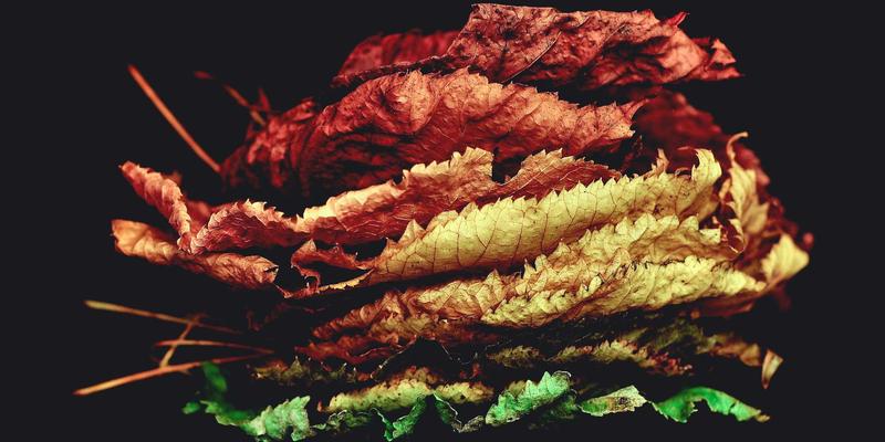 南城咖啡店图鉴:从独立精品到连锁品牌,探寻办公与社交的第三空间